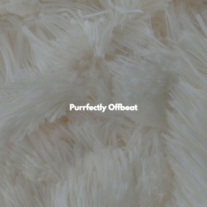 Superlative Ambiance for Cool Autumn Mornings