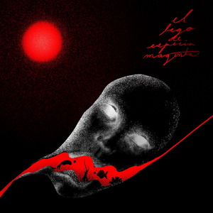 Lindo, Brillante y Gigante Botón Rojo