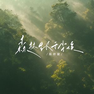 森林生长于尘埃