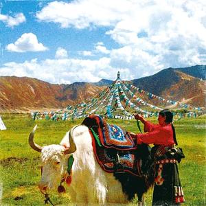 [FREE] 草原上的阿妈 | 诺米 x Emo情绪 x Sad伤感 Piano Type Beat