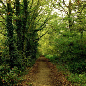 影から太陽の光の中に