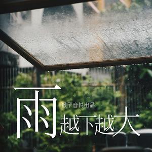 雨越下越大