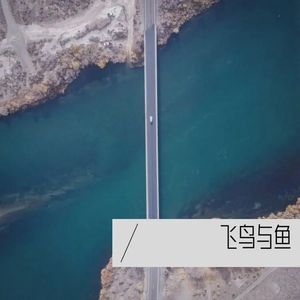 飞鸟与鱼