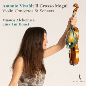Violin Concerto in D Major, RV 208 "Grosso Mogul": II. Grave recitativo