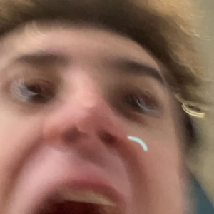 GARDEN GNOME PROPAGANDA//VEGTABLE AIR RAID