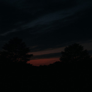 流石にしんどいよな