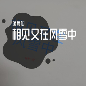 相逢又在风雪中（DJ）