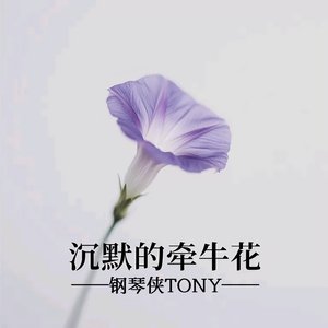 沉默的牵牛花(弹唱版)