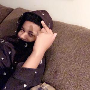 Like the Hoolies (feat. Ant BinFloxks & Aaron BinSaucin)