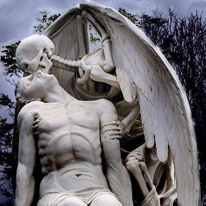 I Hope I Never Fall In Love Again