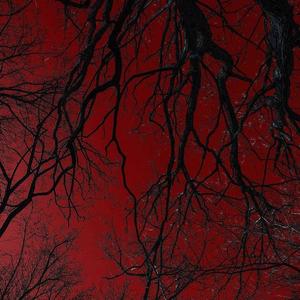 Free "Hope" Polo G X Lil Mosey Type Beat