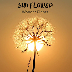 Plantasia