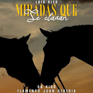 Miradas Que Se Clavan