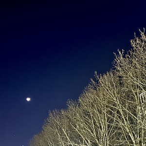 寂静的夜晚_是王一宝呀.mp3