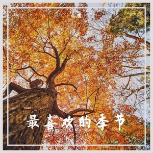 最喜欢的季节