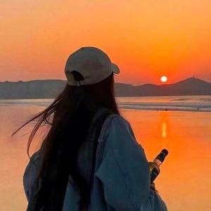 临时伴侣 (小幸运 Remix)