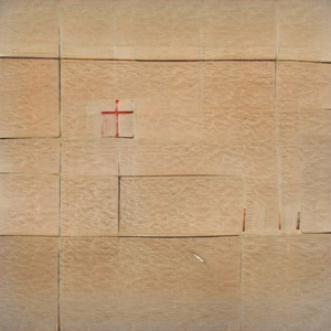 show me the rice and bean