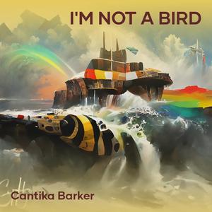 I'm Not a Bird
