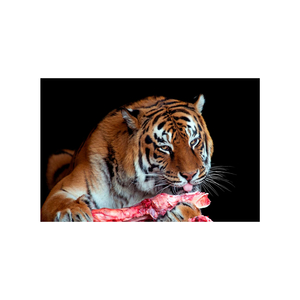 Nastier Than You Thought