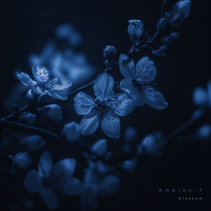blossom