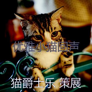 安静的小猫声音