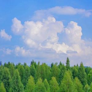 快乐根本不需要发生什么了不起的大事