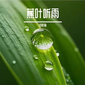 蕉叶听雨
