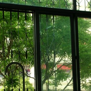 未尽（Endless Summer）