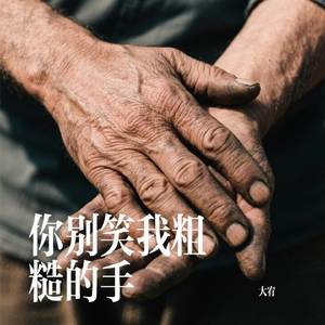 你别笑我粗糙的手