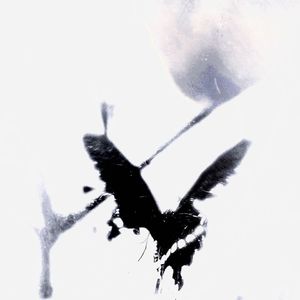 BE CARE OF LEFT & RIGHT