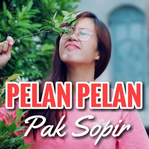 Pelan Pelan Pak Sopir