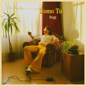 Como Tú