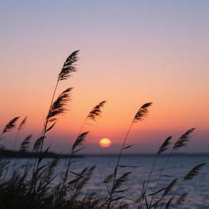 爱你没错 (Remix)