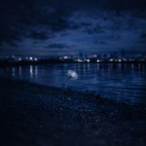 君のいない朝、息ができない