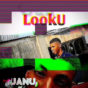 Oga looku