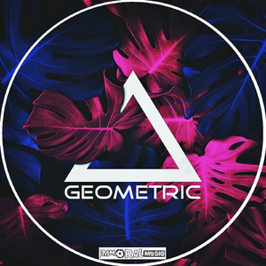 Geometric (Original Mix)