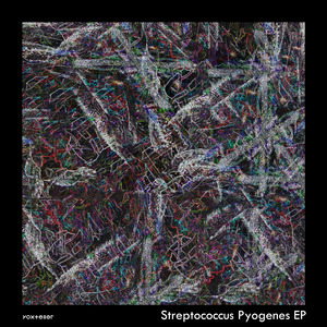 Streptococcus Pyogenes