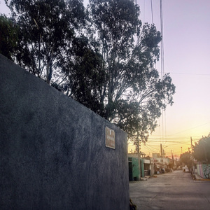 Mentediario (Instrumental)