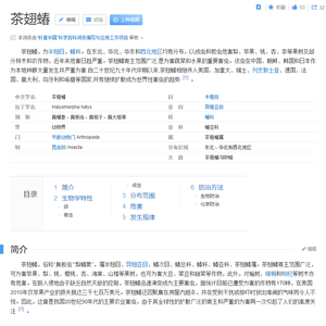 茶翅蝽杀手（Prod by LEYCO）