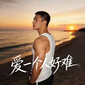 爱一个人好难