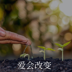 爱会改变