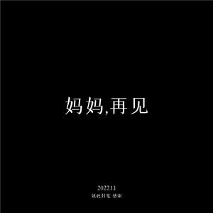 妈妈，再见