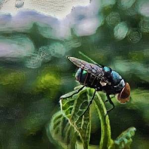 Passing in the tombs