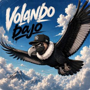 Volando Bajo