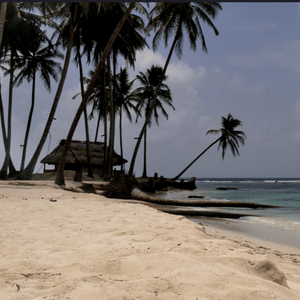 Riding on the Breeze