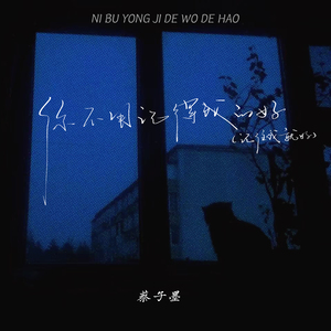 你不用记得我的好 (你骗我也认了)