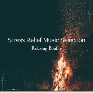 のんびりタイム～焚き火でストレス解消～