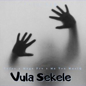 Vula Sekele