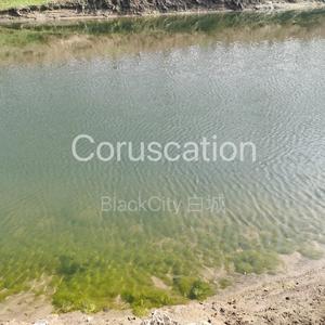 Coruscation