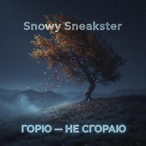 ГОРЮ — НЕ СГОРАЮ
